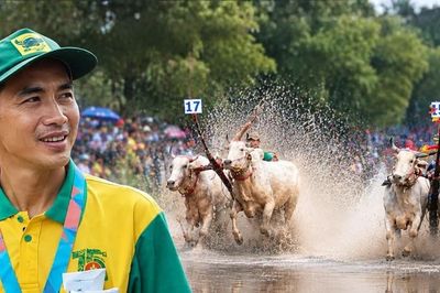 Độc đáo hội đua bò truyền thống chùa Rô, An Giang thu hút hàng nghìn du khách