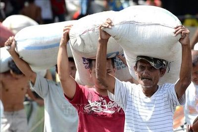 USDA dự báo Philippines nhập 5,5 triệu tấn gạo trong năm nay