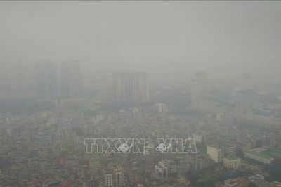 Cà Mau khẩn trương xác định hiện tượng không khí mờ đục kéo dài