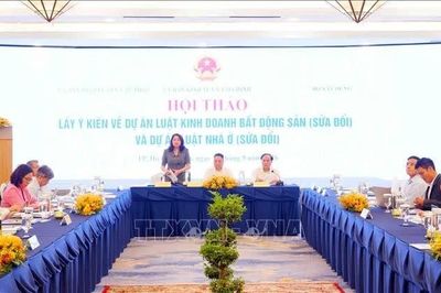 Hoàn thiện khuôn khổ pháp lý về nhà ở và kinh doanh bất động sản