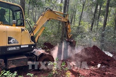 TP. Hồ Chí Minh khoanh vùng xử lý ổ dịch tả lợn châu Phi tại xã Xuân Sơn
