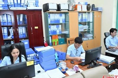 Quy định mới về chức năng, nhiệm vụ của Cục Hoá chất
