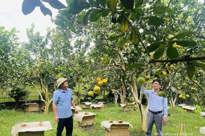 Nghỉ hưu nhưng không nghỉ khát vọng