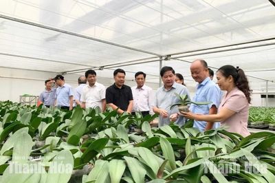 Đoàn công tác Hội Làm vườn Việt Nam làm việc tại Thanh Hóa