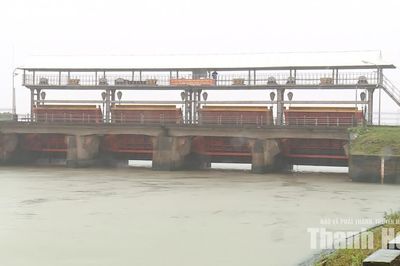Chủ động tiêu úng, bảo vệ sản xuất trước mưa lớn
