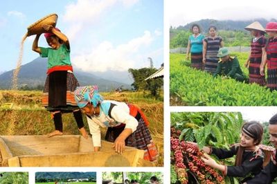 Cần ban hành Nghị định mới nhằm bảo đảm giải ngân thông suốt cho Chương trình mục tiêu quốc gia 2026
