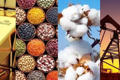 Thị trường hàng hóa phái sinh cần một 'luật chơi' thống nhất