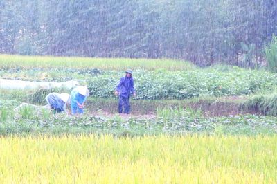 Bắc Ninh: Các đơn vị, địa phương chủ động tiêu úng, bảo vệ sản xuất trước mưa lớn kéo dài