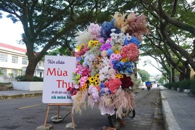 “Chở” mùa thu Hà Nội về An Khê