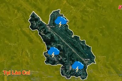 Dự báo thời tiết ngày 15/9