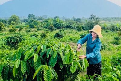 Phụ nữ vùng đồng bào DTTS mạnh dạn phát triển kinh tế
