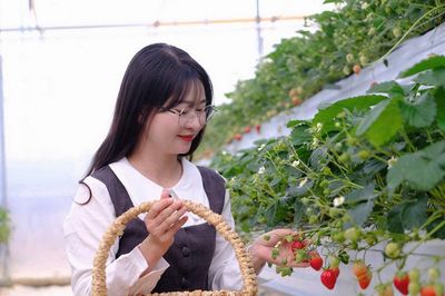 'Nốt nhạc xanh' của du lịch Lâm Đồng. Bài 2: Để du lịch chạm vào đời sống