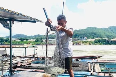Những “lão ngư” cuối cùng trên sông