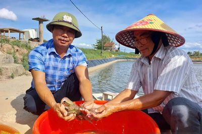 Để tôm Hói Hà ra thị trường