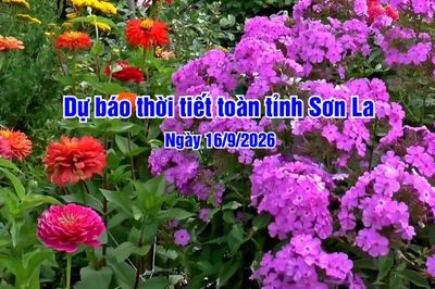 Dự báo thời tiết toàn tỉnh Sơn La ngày 16/9/2026