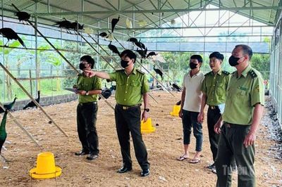 Bảo vệ động vật hoang dã