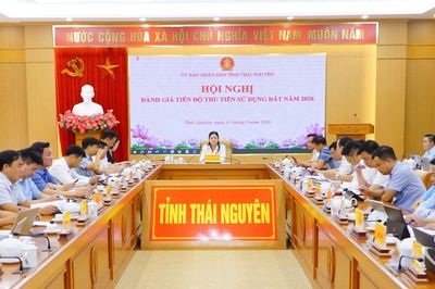 Triển khai nhiều giải pháp để hoàn thành thu tiền sử dụng đất