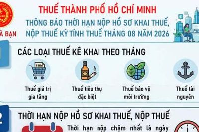 Lưu ý thời hạn nộp hồ sơ khai thuế kỳ tính thuế tháng 8