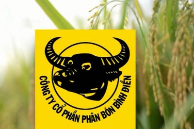 Bình Điền hai lần bị xử phạt thuế, dòng tiền âm và nợ ngắn hạn tăng mạnh