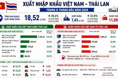 Hàng điện tử, xăng dầu dẫn dắt đà tăng trưởng xuất nhập khẩu Việt - Thái