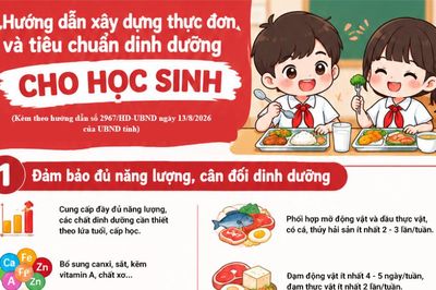 Yêu cầu dinh dưỡng chuẩn cho bữa ăn học đường