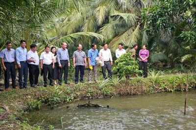 Đoàn kiểm tra Trung ương Hội Nông dân Việt Nam kiểm tra công tác hội cơ sở tại Cà Mau