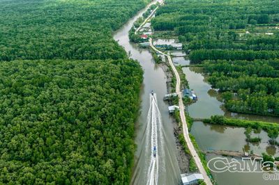 Xóm giữa rừng