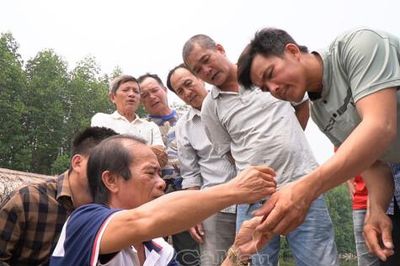 Chuyển giao kỹ thuật mới trong nuôi tôm, cua quảng canh cải tiến