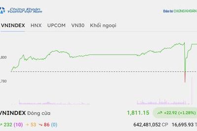 Chứng khoán 15/9: VN-Index bật tăng gần 23 điểm, ngân hàng - dầu khí dẫn sóng