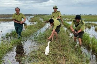 Kiểm lâm Huế đề nghị người dân chung tay bảo vệ chim trời, giữ gìn đa dạng sinh học