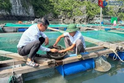 Quảng Ninh đề xuất mở rộng không gian nuôi trồng thủy sản biển lên gần 140.000 ha.