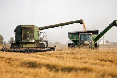 Chi phí lãi vay nông trại Hoa Kỳ lập kỷ lục, chuyên gia tiên lượng xấu