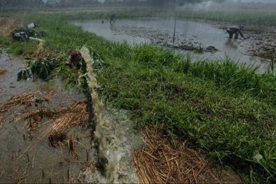 Tp. Huế: Một người đàn ông tử vong khi thả lưới bắt cá ở Kim Trà