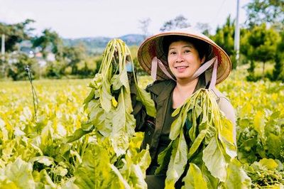 Nông nghiệp hữu cơ: Thúc đẩy tiêu dùng sạch, phát triển kinh tế xanh
