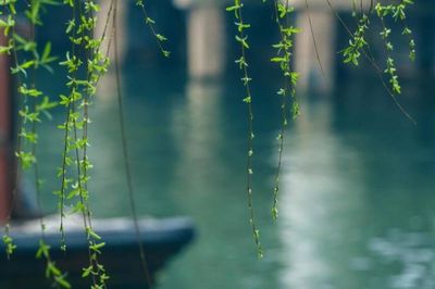 Giờ sinh Âm lịch của những người chăm chỉ nhất, hậu vận hái quả ngọt