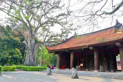 Miễn phí tham quan Khu di tích quốc gia đặc biệt Lam Kinh