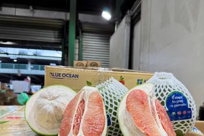 Vì sao Úc tạm dừng nhập khẩu quả bưởi tươi của Việt Nam trong 6 tháng?