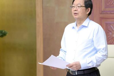 Quy hoạch lâm nghiệp phải thống nhất, sát thực tiễn, bảo đảm sinh kế người dân