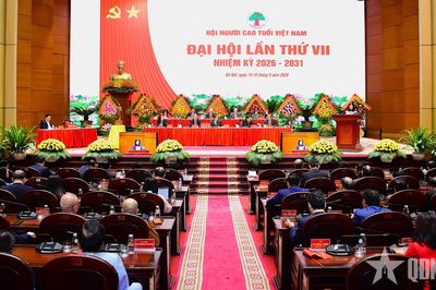 Người cao tuổi phát huy mạnh mẽ tinh thần 'Tuổi cao - Gương sáng' trong xây dựng, phát triển đất nước