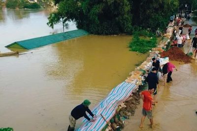 Lũ sông Bùi vượt báo động III, Hà Nội khẩn trương bảo vệ đê và dân cư