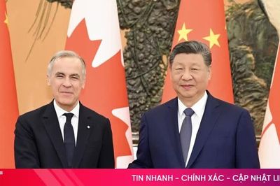 Xuất khẩu Canada sang Trung Quốc tăng mạnh giữa căng thẳng với Mỹ
