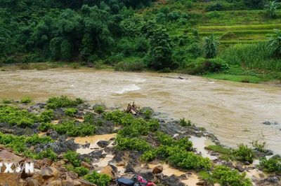 Nghệ An: Hàng trăm hộ dân ở xã Tam Thái bị cô lập cục bộ do mưa lũ