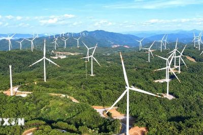 Quảng Trị đón thêm 400 MW điện gió, vốn đầu tư hơn 15.000 tỷ đồng