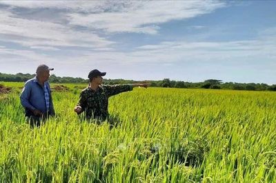 Cuba kêu gọi doanh nghiệp đẩy nhanh sản xuất lương thực