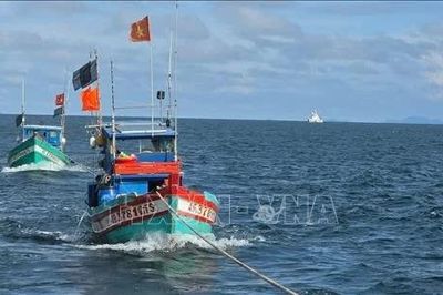 Nâng cao năng lực thực thi pháp luật trên vùng biển Tây Nam