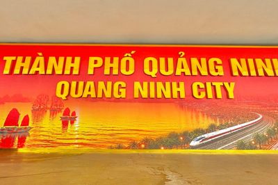 Quảng Ninh: Tuyệt đối không hợp thức hóa sai phạm
