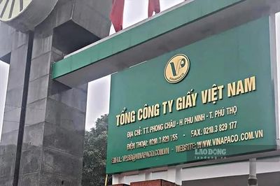 Thanh tra Chính phủ chỉ ra loạt vi phạm tại Tổng công ty Giấy Việt Nam và Tập đoàn Tân Mai