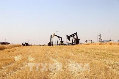 Giá dầu thô tăng vọt trước rủi ro đứt gãy chuỗi cung ứng năng lượng