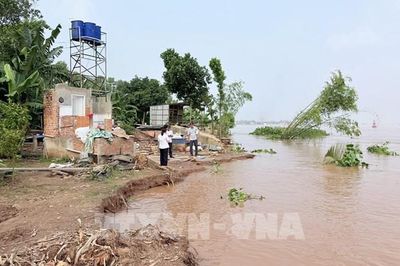 An Giang: Bờ sông Hậu sạt lở nghiêm trọng tại Mỹ Hòa Hưng