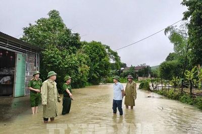 Các tỉnh Phú Thọ, Ninh Bình và Thanh Hóa chủ động ứng phó với lũ trên các tuyến sông